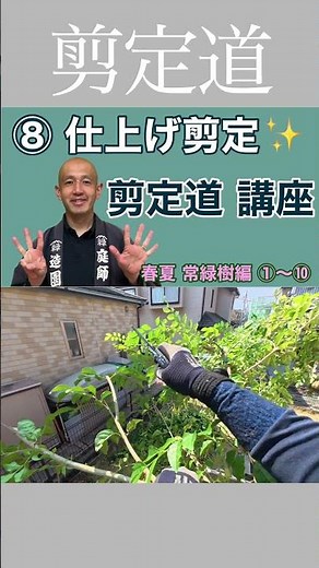 《When you're unsure!!》If you're unsure about the final stages of pruning, here's what to do!! #pr...