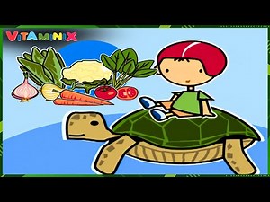 Why a Turtle’s Shell and Diet Make It a Survival Pro | Vitaminix