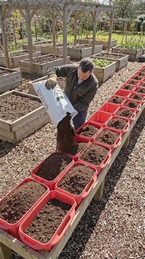 I Planted Strawberries in a Greenhouse... You Won't Believe the Results!