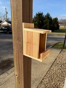 Natural Cedar Bird Nesting Box - Etsy