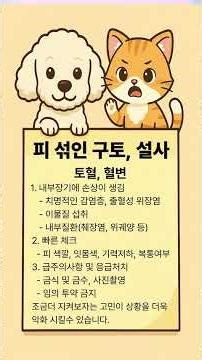 토혈과 혈변. 아이의 응급조치를 알아봐요