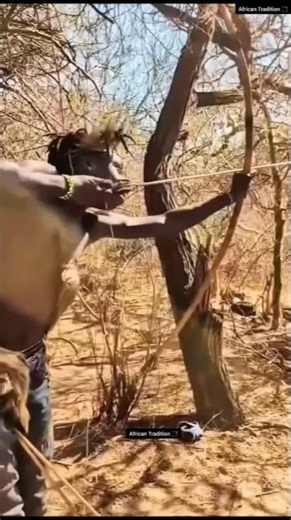 Leopard Insane Ground Takedown?! Tree Ambush Meets Ancient Arco e Flecha 🏹🐆🦌