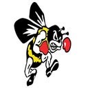 Brecksville-Broadview Heights Bees (Broadview Heights, OH) Girls Basketball 25-26