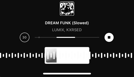 Dream Funk Slowed: Relaxing Phonk Audio Edit