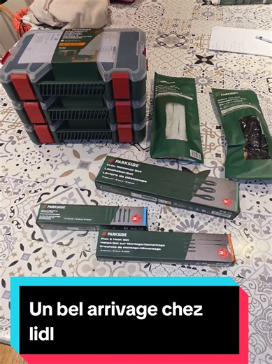 Aujourd’hui, petit passage chez Lidl et franchement, il y avait pas mal de choses sympas chez Parkside 🔧 Petit rappel important : Parkside, c’est garanti 3 ans, et ça, c’est toujours bon à prendre. Au programme : Des rislans Colson en noir et en blanc Des petites caisses amovibles empilables, parfaites pour ranger les petits accessoires Des démonte-garnitures pour voiture Des outils pour faire levier Et des petits tournevis pointus, idéals pour enlever des joints ou faire du travail précis Clai