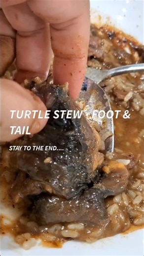 Ever tried Turtle Stew! This was bomb 🤤