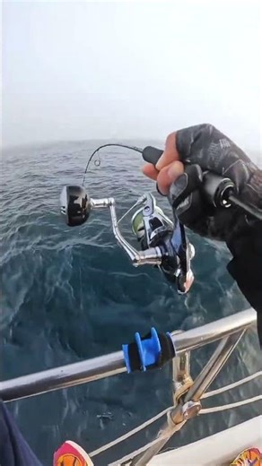 Extreme Fishing Adventure 🚤🔥 | Epic Big Fish Battle