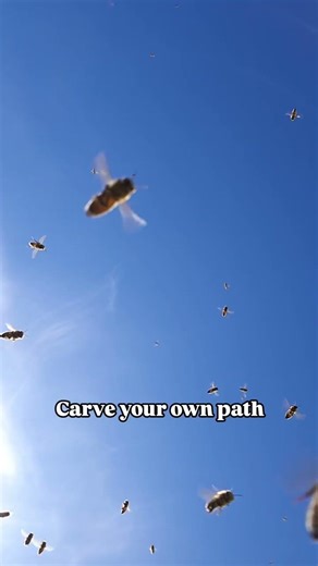 I've been beekeeping semi-commercially for over 10 years But that doesn't mean I know everything -