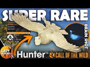 I Found the SUPER RARE of My DREAMS in Revontuli!!! - Call of the Wild