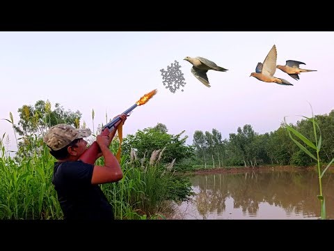 Best birds hunting video | epic birds hunting in Pakistan | dove hunting | shotgun hunting