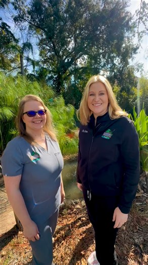 Pediatric Dentistry of Lakeland on Instagram: "✨ Monday with Misty: X-Ray Talk! ✨ Today Dr. Erin and Misty are breaking down bitewing vs. panoramic X-rays: 🦷 Bitewing X-rays • Taken once a year • Help us spot cavities early 📸 Panoramic X-rays • Taken every 3–5 years • Show your child’s growth & development (jaw, adult teeth, etc.) So why does insurance deny them sometimes? It usually comes down to coding + frequency rules: • Some plans only cover a pano every 3–5 years • Some combine ALL X-ray