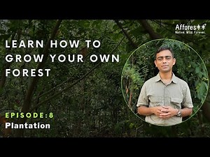 Ch:8 | Plantation and Execution | Forest Creation Tutorials | English