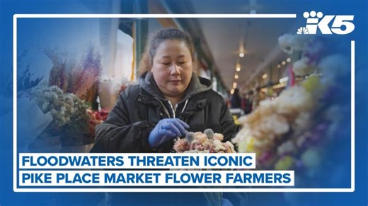 Floodwaters threaten iconic Pike Place Market flower farmers | Rachel Kim