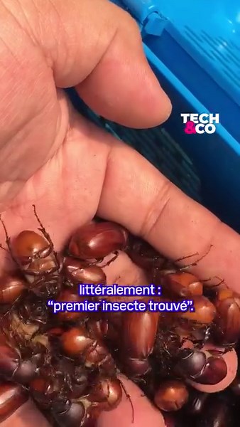 1.8K views · 78 reactions | Pourquoi appelle-t-on une panne informatique un... "bug" ? | Tech & Co | Facebook