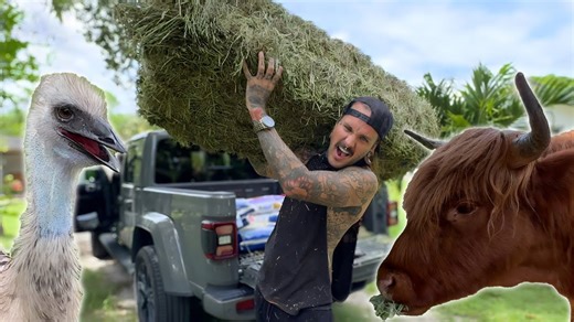 Farm Life: Chores and Chow at Ryder’s Ranch