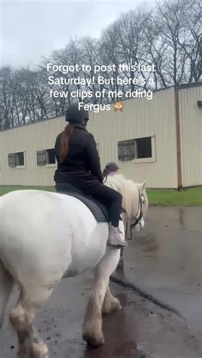 Top Riding Lessons with Friendly Instructors