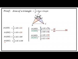 State and prove basic proportionality theorem(Thales theorem)#sslcexam2023