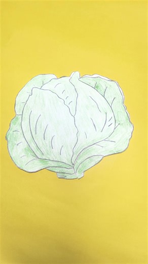 Cute Cabbage Drawing | Simple Vegetable Art for Kids & Beginners 🎨🥬 #shorts