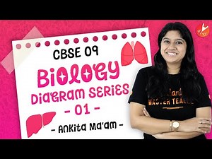 Important Biology Diagrams Class 9 CBSE 2020 | Science NCERT | Vedantu Diagram Series