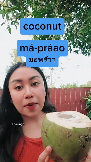 Discover the Enchanting Bird Sounds of Thailand