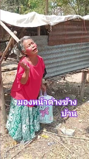 Looking out the neighbor's window. #funny #funny