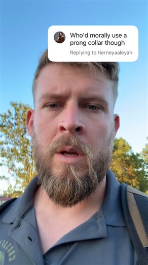 Prong collars one of the most controversial training tools, I use them for specific dogs, not always and I use them in a way that is fair for dogs and aversive enough to stop unwanted behavior. What are your thoughts on prong collars? #dogtraining #dogtrainer #dogobedience #hermsprenger | Crossfire K9 LLC