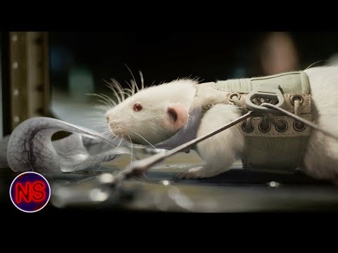 Alien DEVOURS Lab Rat | Life (2017) | Now Scaring