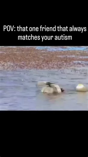 Memes || Humour || Funny on Instagram: "😂🤣 When life hits you with responsibilities, but your brain still runs on Windows XP loading sound... ⏳💀 ✨ Rule No. 1: If it’s funny → SAVE IT ✔️ ✨ Rule No. 2: If it’s relatable → SHARE IT 📤 ✨ Rule No. 3: If you laughed → FOLLOW @teeensvibe vibe 😎🔥 👉 Fun Fact: Laughing burns calories, so technically my memes = free gym membership 🏋️‍♂️😂 💬 Tell me: Which meme made you spit your drink this week? 🥤🤣 Drop it below 👇👇 #MemeDaily #FunnyContent #Rel