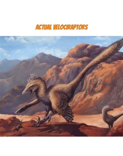 Jurassic Park velociraptors vs actual velociraptors.