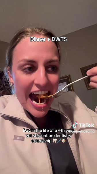 Day in the Life of a Vet Student: Dentistry Externship
