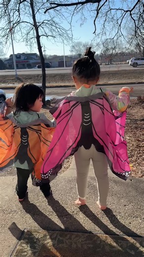 Stylish Butterfly Cape Perfect for Girls