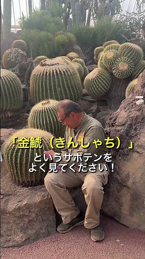 Cactus Expert's Cactus Trivia [Part 1] 🌵