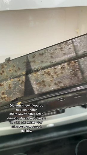 Replace Charcoal Microwave Filter Every 6 Months for Efficient Use