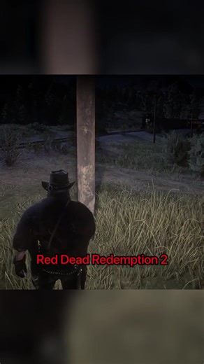 New RDR2 Mystery Discovered: What You Need to Know