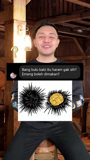 Apakah Bulu Babi Halal atau Haram? Fakta Menarik yang Perlu Kamu Ketahui!