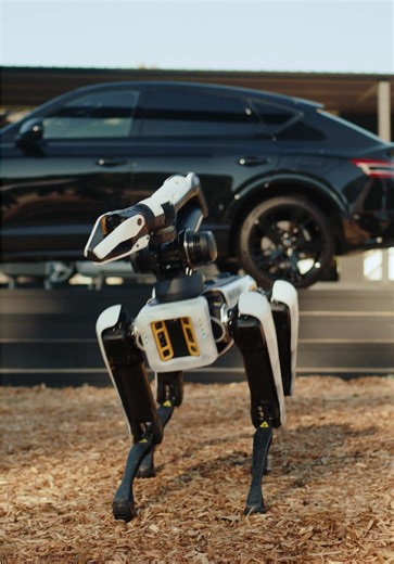 Explore Spot's Guide to the Genesis 14th Lounge