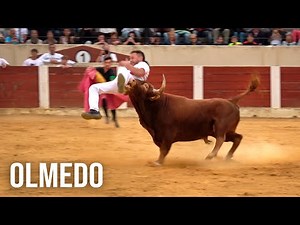 Olmedo 2025 Bullfighting Competition