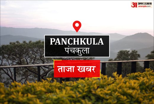Panchkula News: पंजाब पुलिस का गैंगस्टरों ते वार अभियान जारी, 527 स्थानों पर रेड, 241 गिरफ्तार