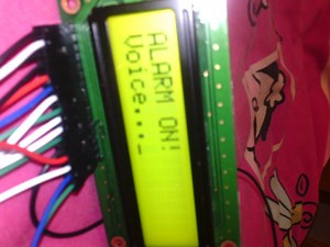 Step by Step Home Alarm Using ATMEGA128