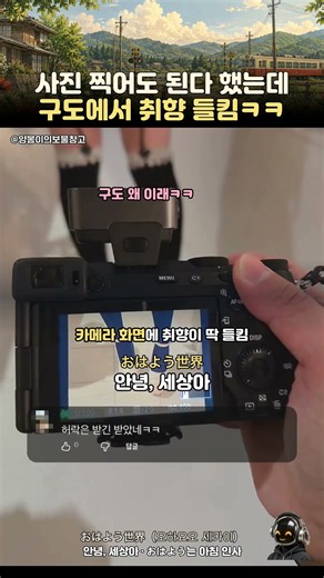 사진 찍어도 된다 했는데 구도에서 취향 들킴ㅋㅋ | 目覚めてしまった 뜻 #일본어