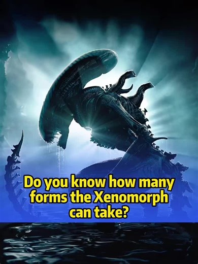 Do you know how many forms the Xenomorph can take?#fyppp #movie #alien | alien