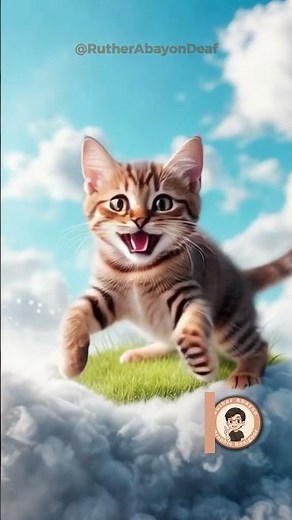 A CUTE KITTEN SITTING ON THE CLOUDS ☁️🐾 #kitten #sky #shorts