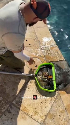 Pool 101, clean baskets and show up. | Suburban Pool Company