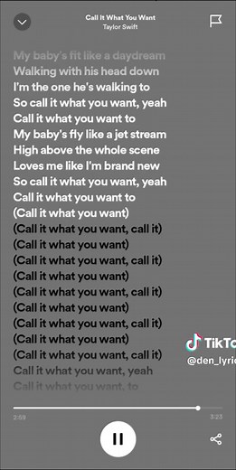 Taylor Swift - Call It What You Want