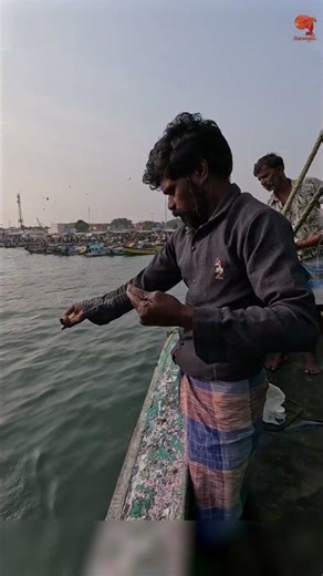 Small Fish, Clean Hook Up! Inshore Style! #fishing #fishingvideo #fishingtime