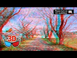[Anaglyph 3D] Walking Through Cherry Blossoms in Japan | 43 Scenes, 16 Locations (Red-Cyan Glasses)