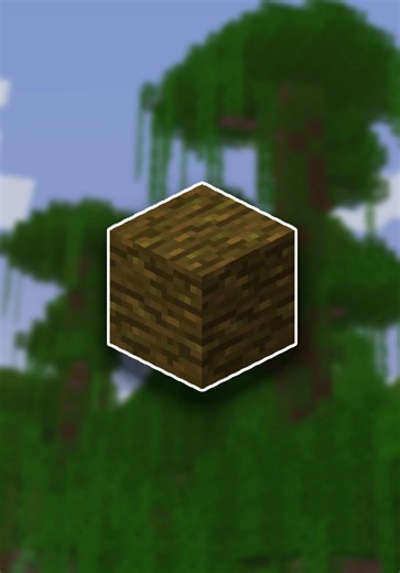 As if I found an abandoned village before a jungle(at about 11min timer). #minecraft #junglewood #howlongdoesittake #chessplay