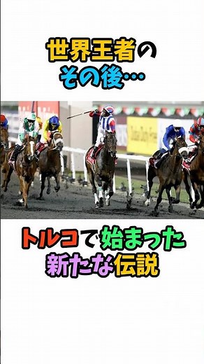 世界王者のその後･･･トルコで始まった新たな伝説#競馬 #horse