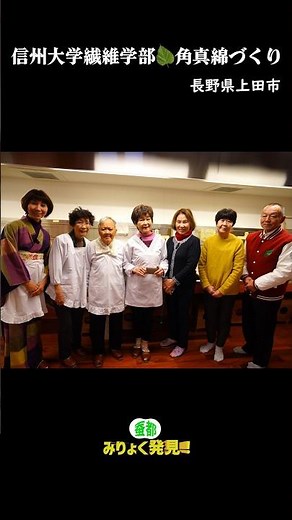 Making silk floss at the Silk Floss Museum, Faculty of Textile Science and Technology, Shinshu Un...