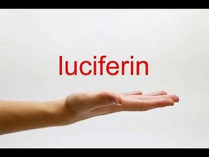 How to Pronounce luciferin - American English